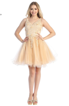 Dani Dress