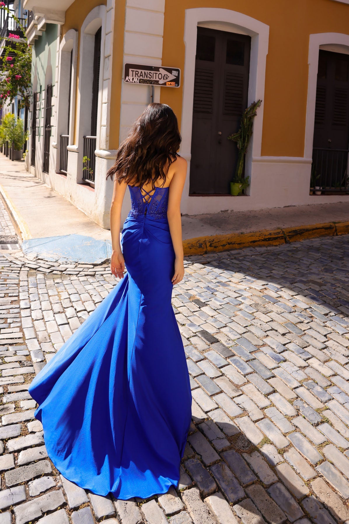 Cherie Dress